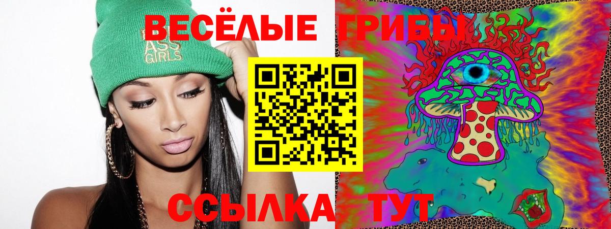 Галлюциногенные грибы MAGIC MUSHROOMS  Вход с VPN  Людиново  Галлюциногенные грибы GOLDEN TEACHER 